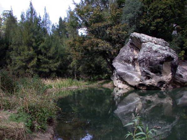 Rock Pool